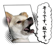 835508334
