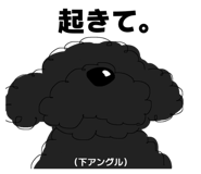 835513206