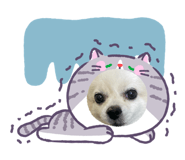 835514306