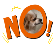 835514311