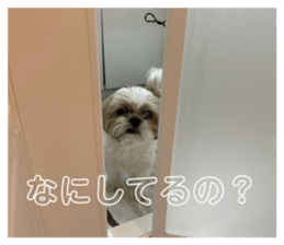 835515534