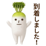 835520082