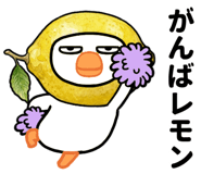 835520509