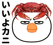 835520511