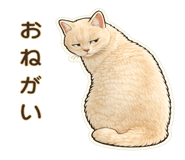 835520578