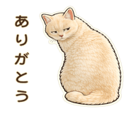 835520581