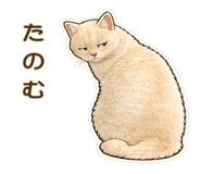 835520583