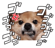835523748