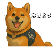 835523749