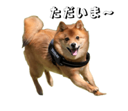 835523751