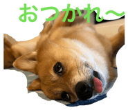 835523752