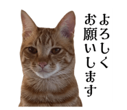 835524129