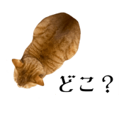 835524130