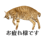 835524132