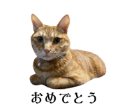 835524136