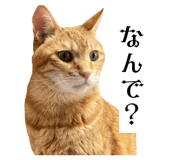 835524141