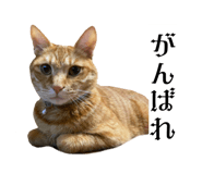 835524145