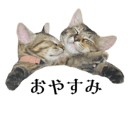 835524147