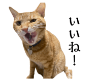 835524148