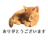 835524150