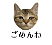 835524151