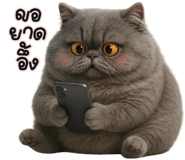 835524243