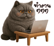 835524251