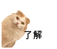 835534324