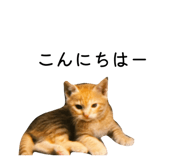 835534327