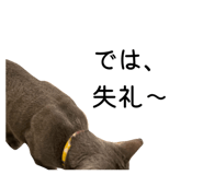 835534331