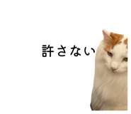 835534332