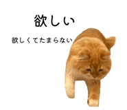 835534334