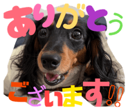 835534823