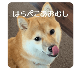 835535240