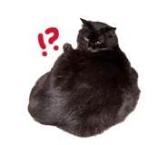835535886