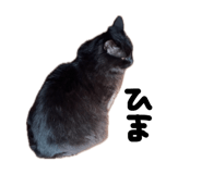835535893