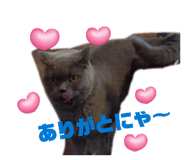 835535951