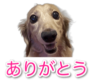 835538793