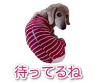 835538798