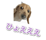 835538804