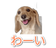 835538805