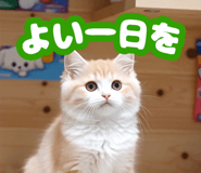 835539523
