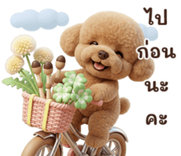 ลายที่ 9