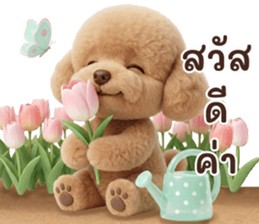 ลายที่ 13