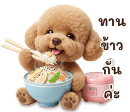 ลายที่ 19