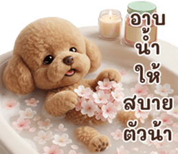 ลายที่ 27