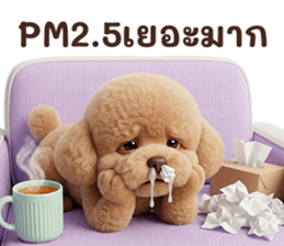 ลายที่ 37