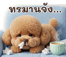 ลายที่ 39