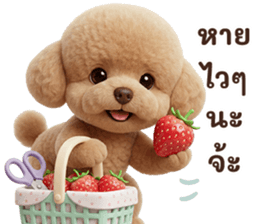 ลายที่ 41