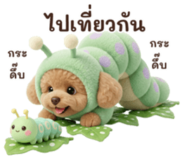 ลายที่ 43